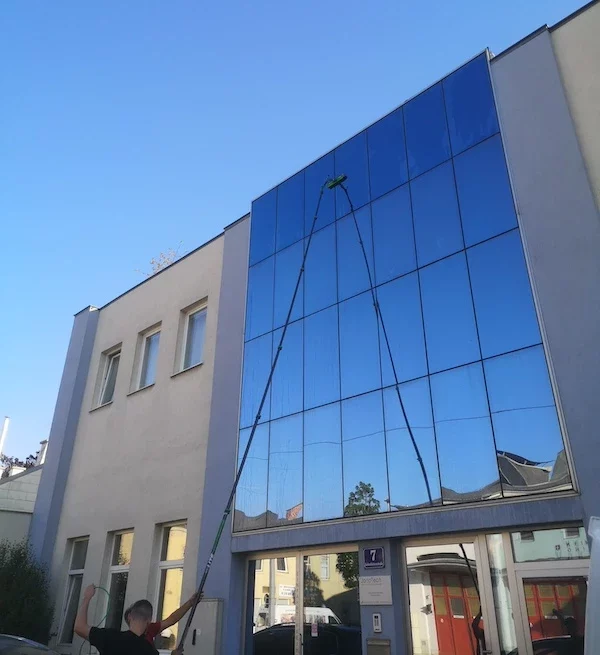 schimmer-reinigung-fenster